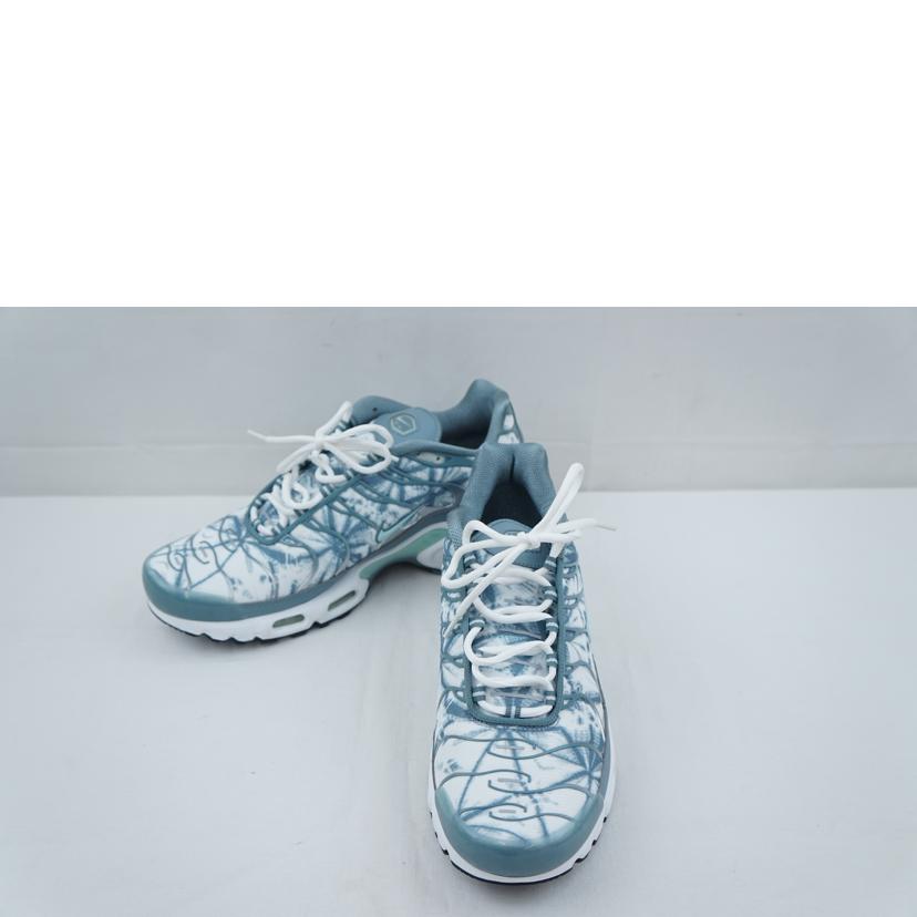 NIKE ナイキ/NIKE　AIR　MAX　PLUS　29．0/RV0394-300//Aランク/67