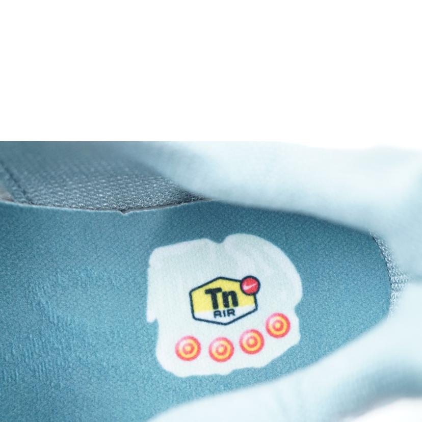 NIKE ナイキ/NIKE　AIR　MAX　PLUS　29．0/RV0394-300//Aランク/67