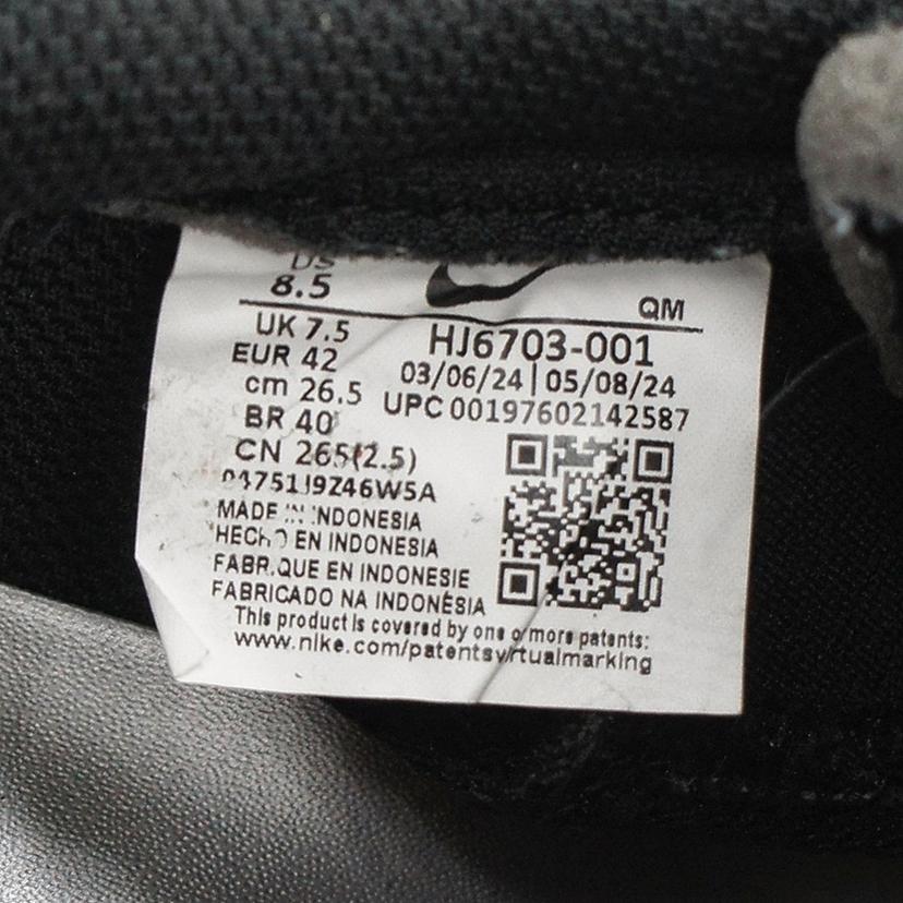 NIKE ナイキ/SB　ZOOM　BLAZER　LOW　QS/HJ6703-001//Aランク/09