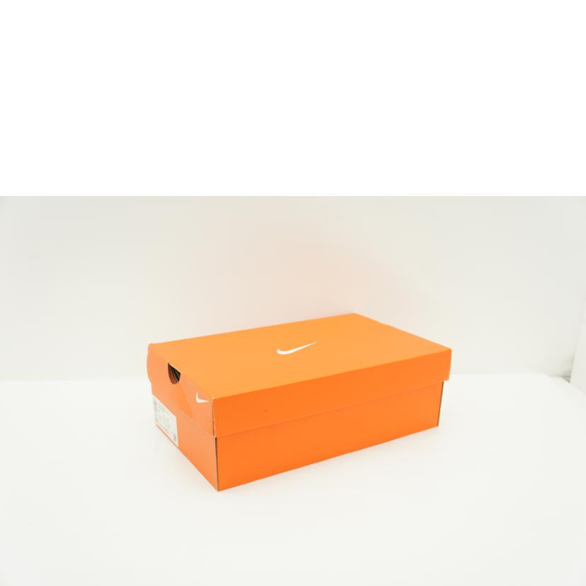 NIKE ナイキ/エアズームライバルフライ4/FV6040-800//ABランク/76