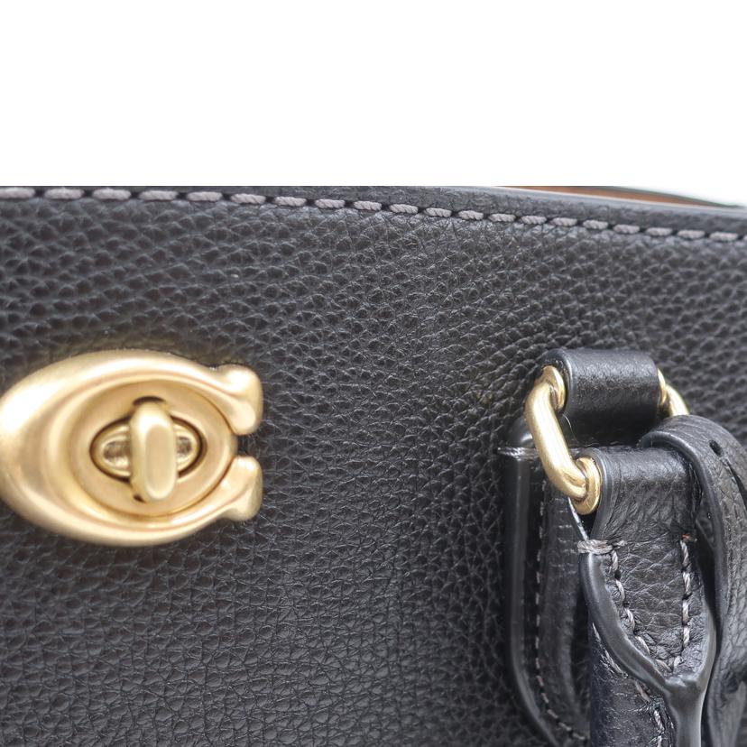 COACH コーチ/レザー2WAYショルダーバッグ　カギなし/F2339-CE732//Aランク/65