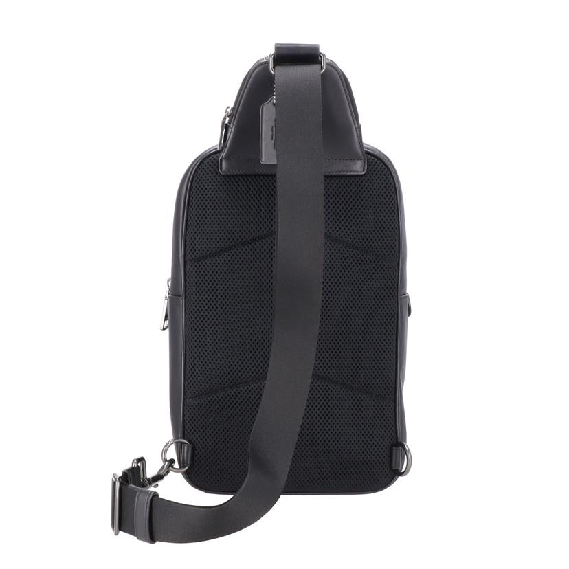 COACH コーチ/イーサンパック　シグネチャーキャンバス/CO910//M24**/ABランク/09