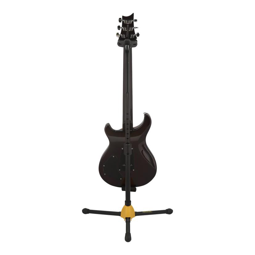 PRS ポールリードスミス/エレキギター/SE DGT  MOONS - GT//F026699/Aランク/84