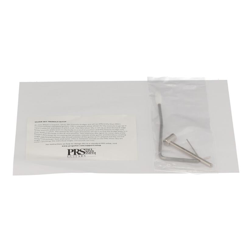 PRS ポールリードスミス/エレキギター/SE Silver Sky //F061047/Aランク/05