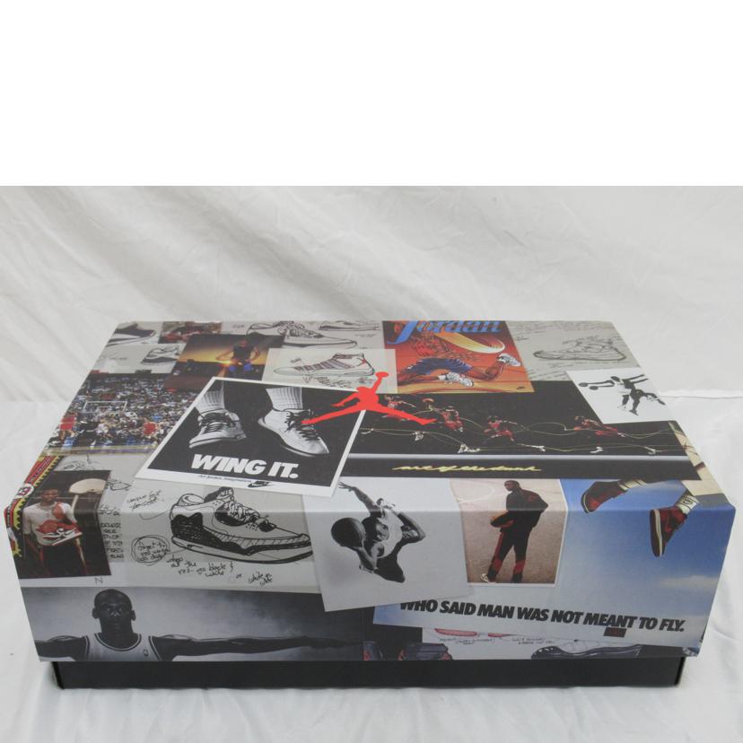 NIKE/エアジョーダン3レトロSE／カーキ／1020/DO1830　200//Aランク/63