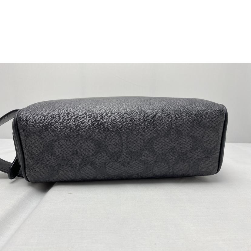 COACH コーチ/スモールシグネチャー トラベルキット/CAR15//J25**/Bランク/52