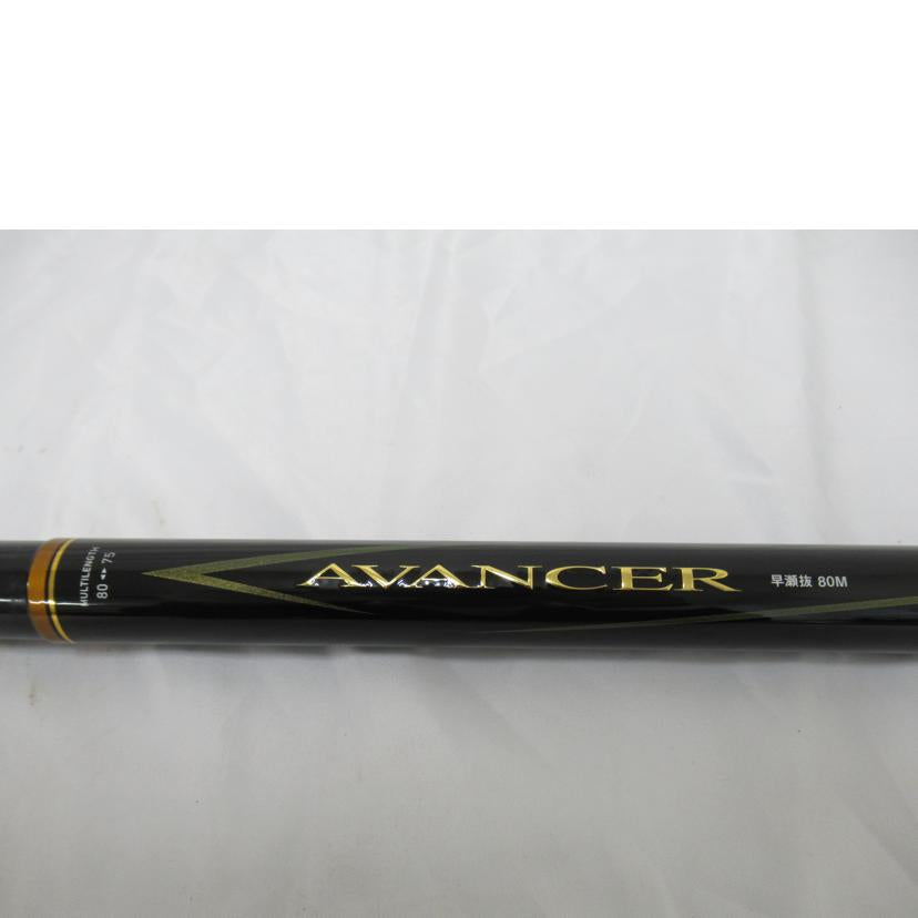 Daiwa/ロッド／アバンサー　早瀬抜　80M・R/05920194//Aランク/63