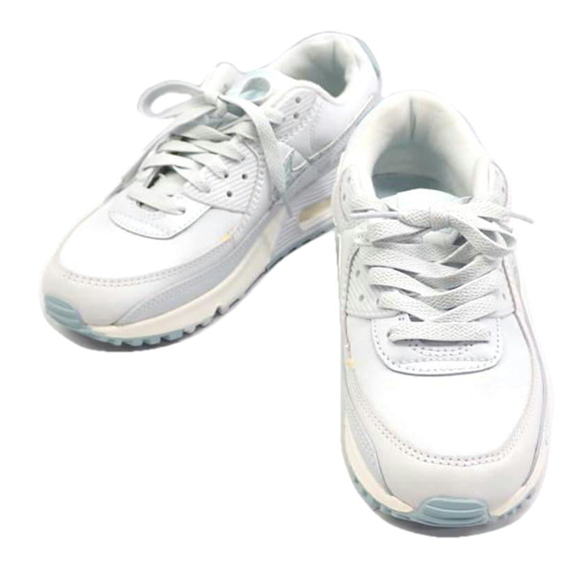 NIKE ﾅｲｷ/AIR　MAX　90/DJ5415-400//24.5cm/Bランク/62