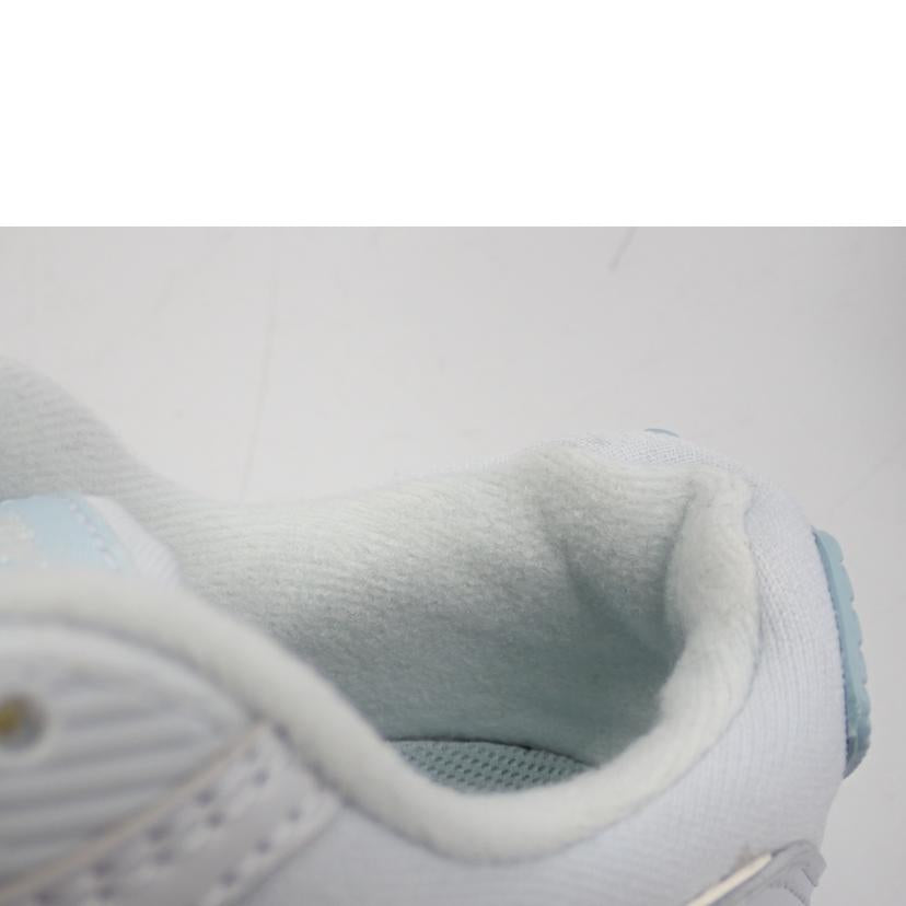 NIKE ﾅｲｷ/AIR　MAX　90/DJ5415-400//24.5cm/Bランク/62