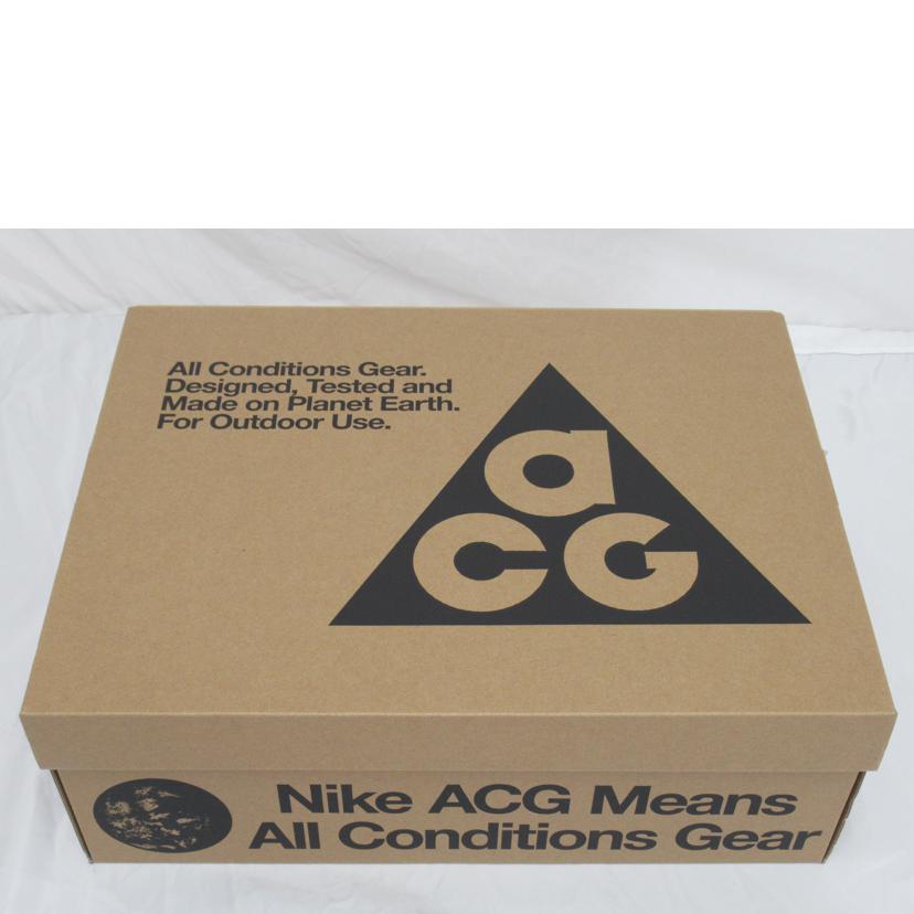 NIKE/ACG　Zoom　Gaiadome　GORE－TEX　 Black／Brown /IB2328-200//Aランク/63