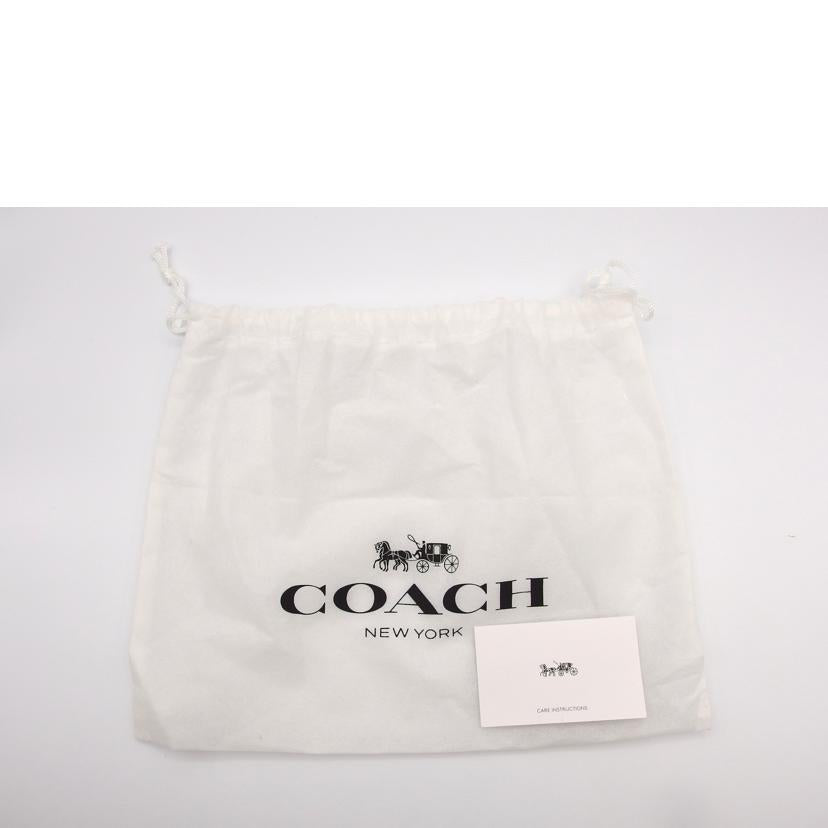 COACH コーチ/ディズニーコラボ／レザーポーチ/C2081-3782//ABランク/04