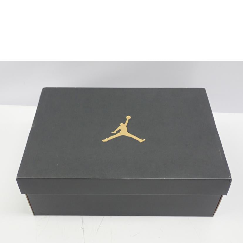 NIKE ﾅｲｷ/AIR　JORDAN　1　MID/554724-068//28.0cm/Bランク/62