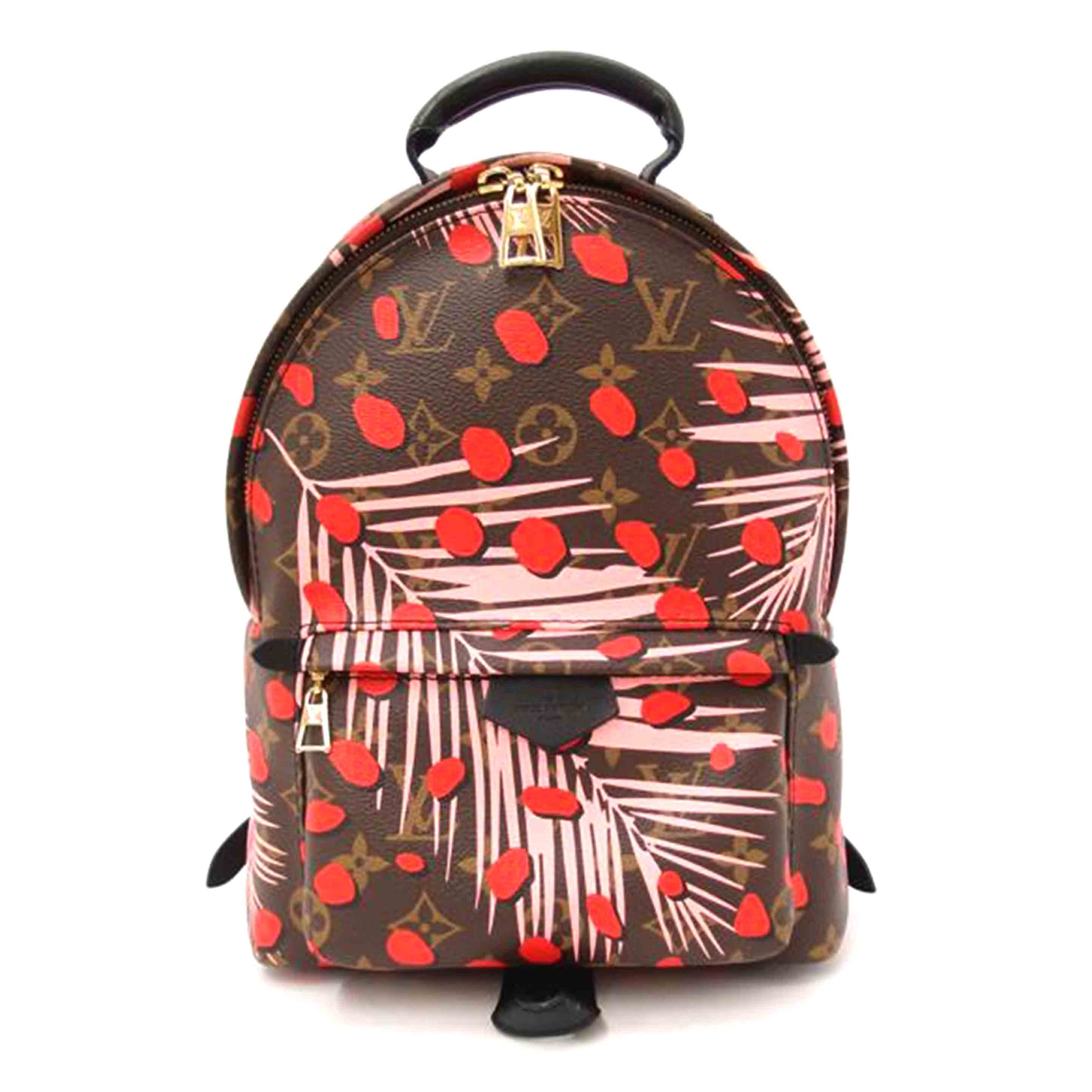 LOUIS VUITTON ルイヴィトン/パームスプリングス　バックパックPM／ジャングルドット/M41981//FL1***/Aランク/69