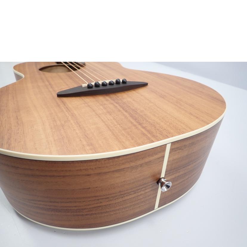 aNueNue aNueNue/楽器｜WonderREX-ONLINE 公式通販サイト