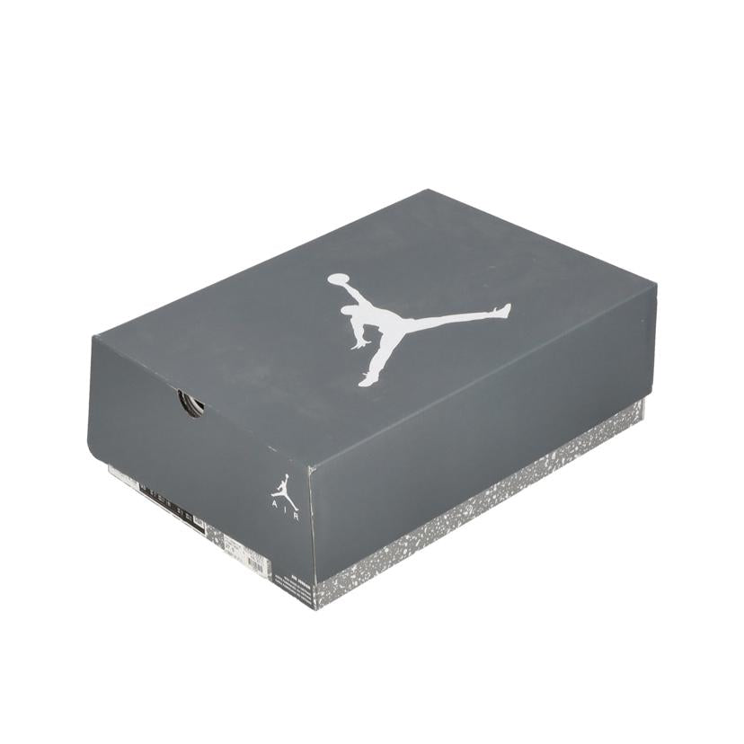 NIKE NIKE/AIR　JORDAN　6/CT8529-100//ABランク/85