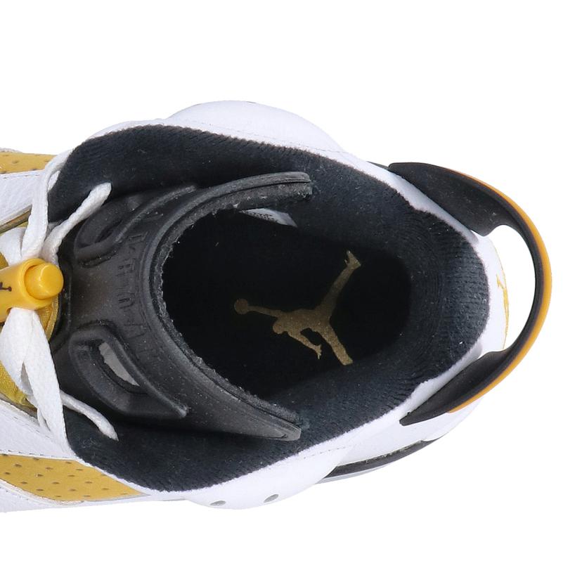 NIKE NIKE/AIR　JORDAN　6　/CT8529-170//Aランク/85