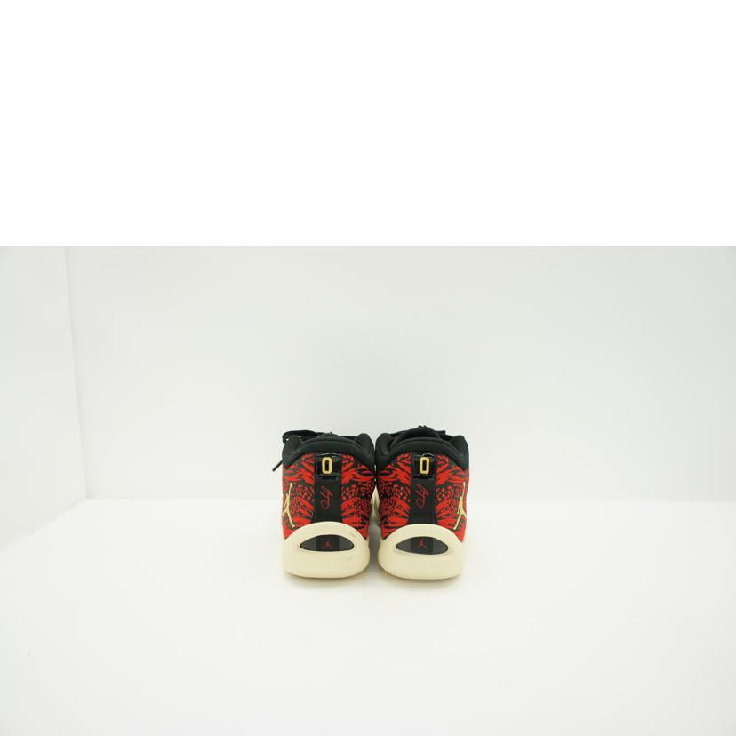 NIKE ナイキ/NIKE JORDAN TATUM 1 PF スニーカー/DX6734-001//ABランク/19