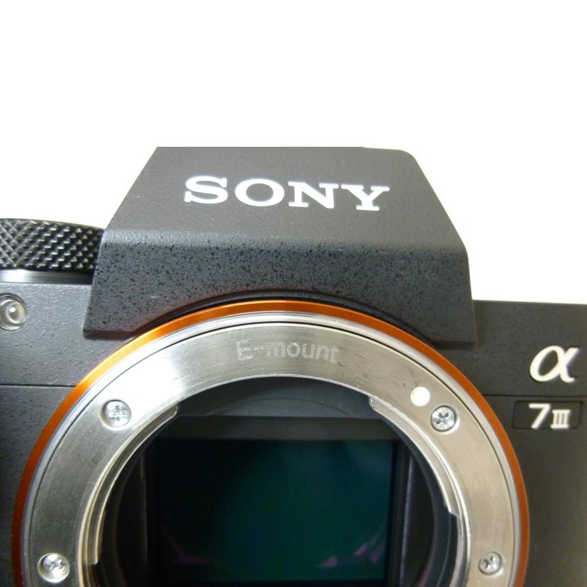 SONY ソニー/α7Ⅲボディ／ILCE－7M3/ILCE-7M3//3062629/Bランク/88
