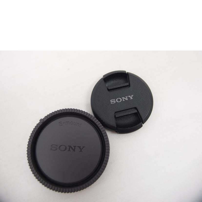 SONY ソニー/等倍マクロレンズ／単焦点／AF/SEL30M35//1853125/ABランク/04
