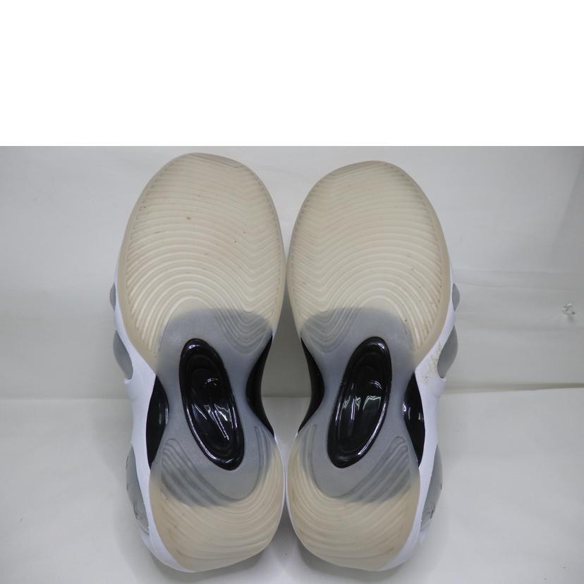 NIKE ナイキ/NIKE　ZOOM　FLIGHT95／29．0cm/DX5505-100//ABランク/84