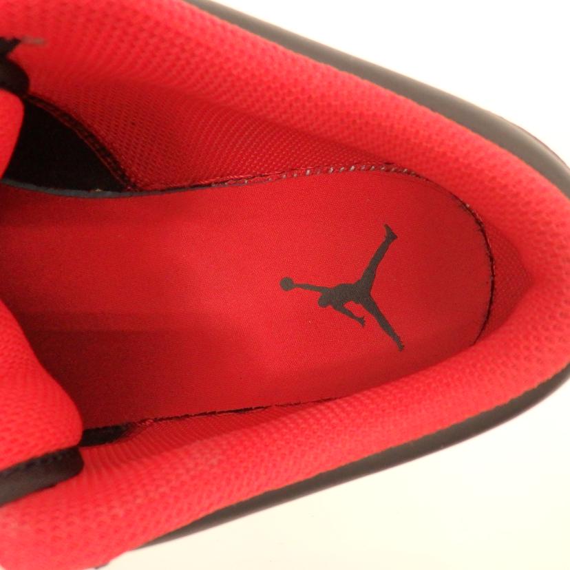 NIKE ナイキ/AIR　JORDAN/553558-063//ABランク/77