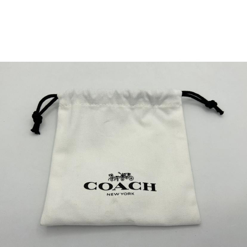 COACH ｺｰﾁ/コーチ／ティーローズミックスバックチャーム//Aランク/75