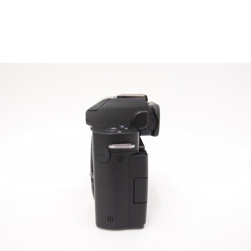 Panasonic パナソニック/ミラーレス一眼カメラ　トライポッドグリップキット/LUMIX DC-G100DV//WF4EA003704/Aランク/69