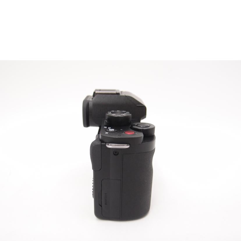 Panasonic パナソニック/ミラーレス一眼カメラ　トライポッドグリップキット/LUMIX DC-G100DV//WF4EA003704/Aランク/69