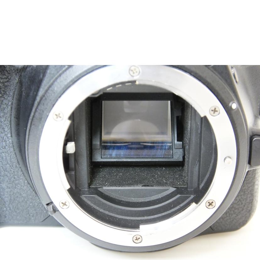 NIKON ニコン/D5600ボディ/D5600//2022513/Bランク/88