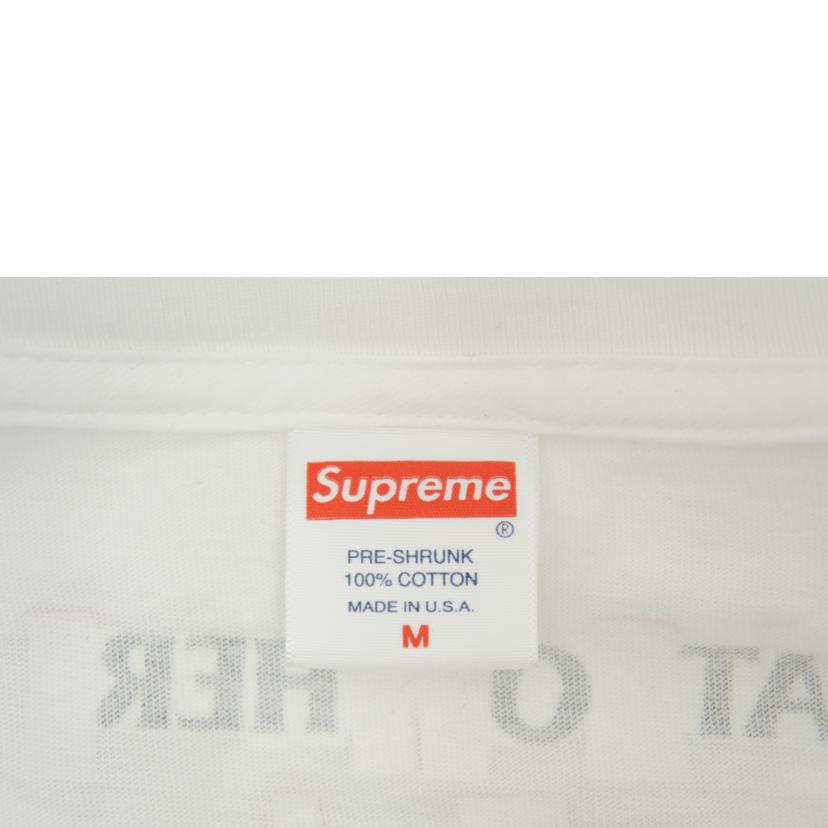 Supreme シュプリーム/×ANTIHERO　20AW　ICE　Tee　Tシャツ//Bランク/05