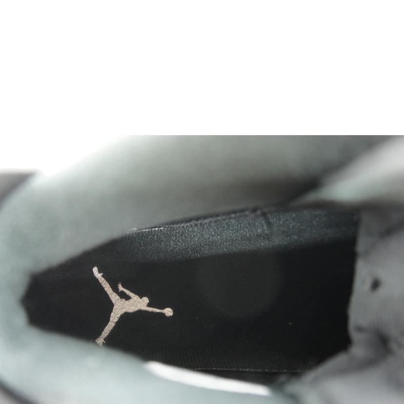 NIKE ナイキ/NIKE　AIR　JORDAN　6　RETRO/DX2836-001//Aランク/64