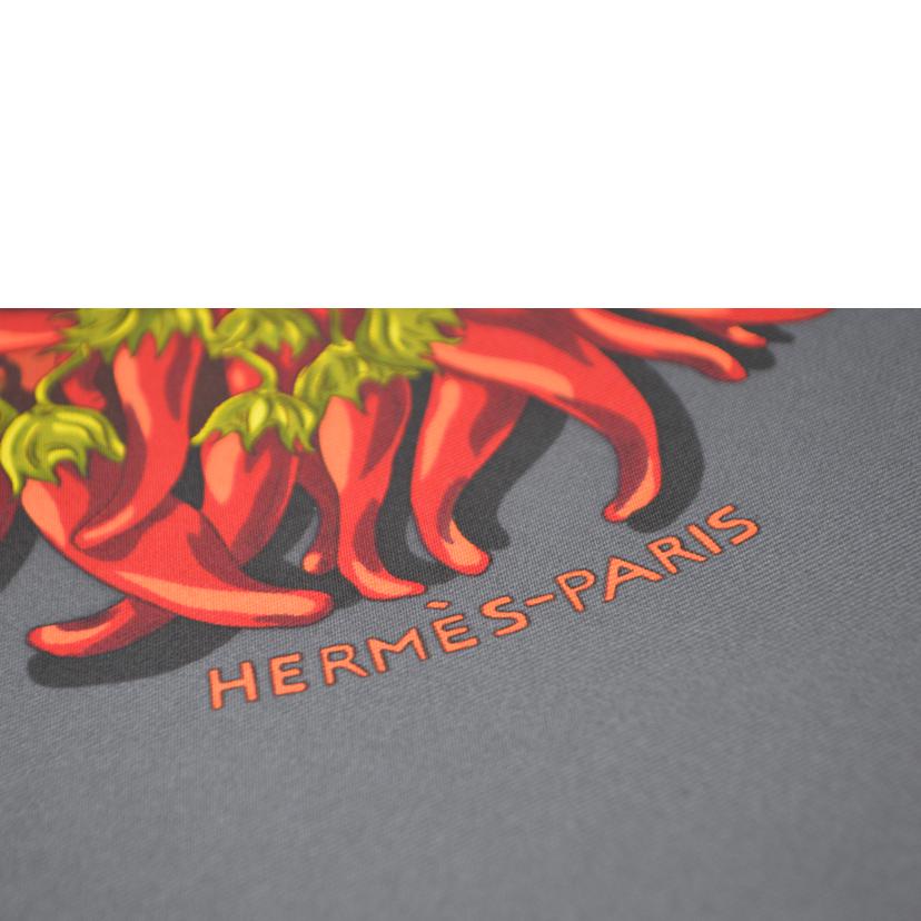 HERMES エルメス/Aux　Pays　des　Epices　スパイスの国　カレ90//SAランク/89