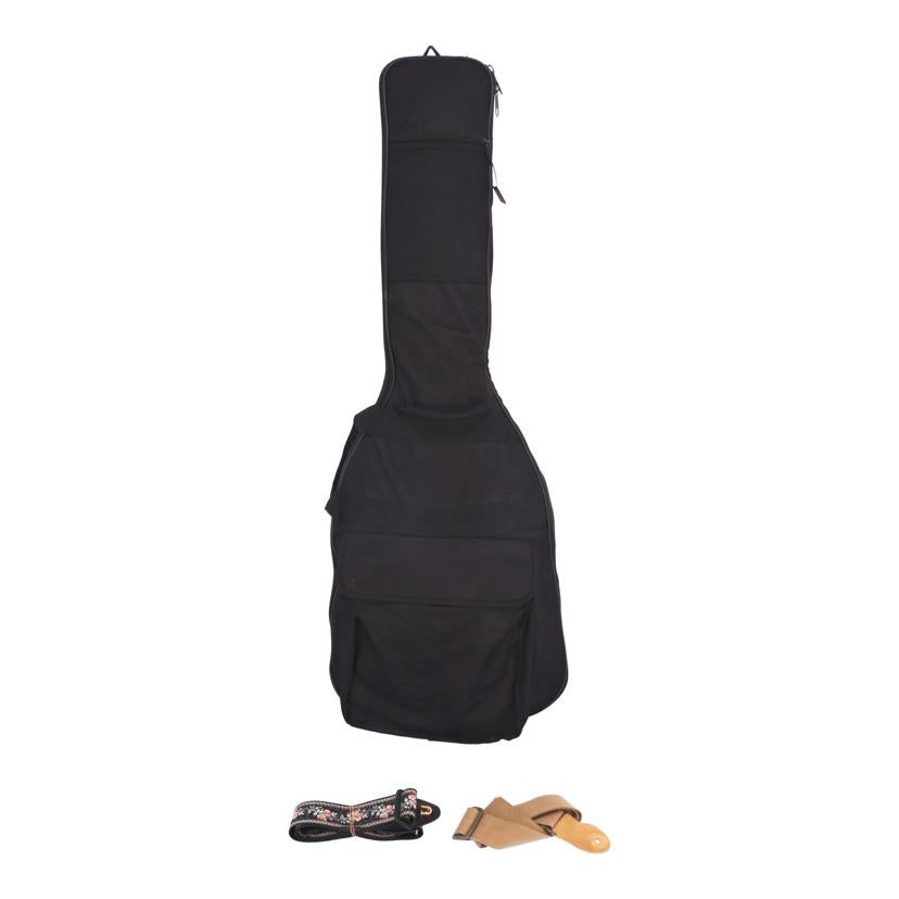 Epiphone　 エピフォン　/エレキギター／ケース込み/Les Paul PlusTop PRO/FX//1005122408/Bランク/20