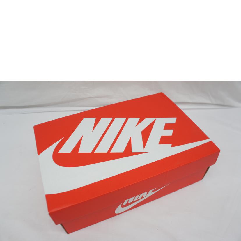 NIKE ナイキ/NIKE　AIR　MAX　95　ESSENTIAL/CT1268-100//Sランク/05