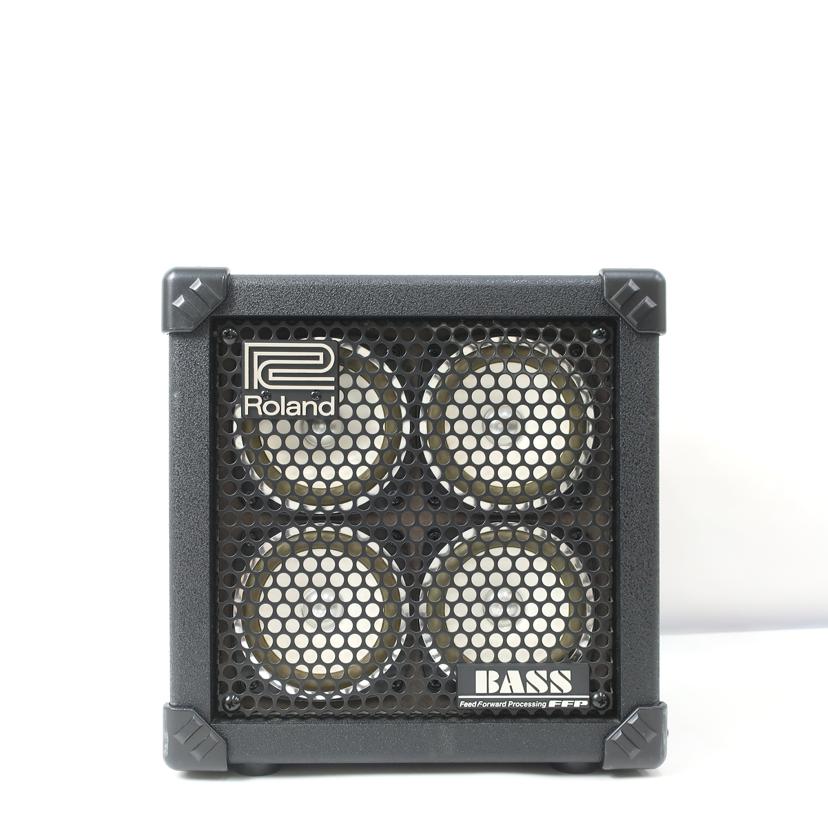 Roland ローランド　/ベースアンプ　ACアダプターなし/MICRO CUBE BASS RX//BZ22978/Cランク/65