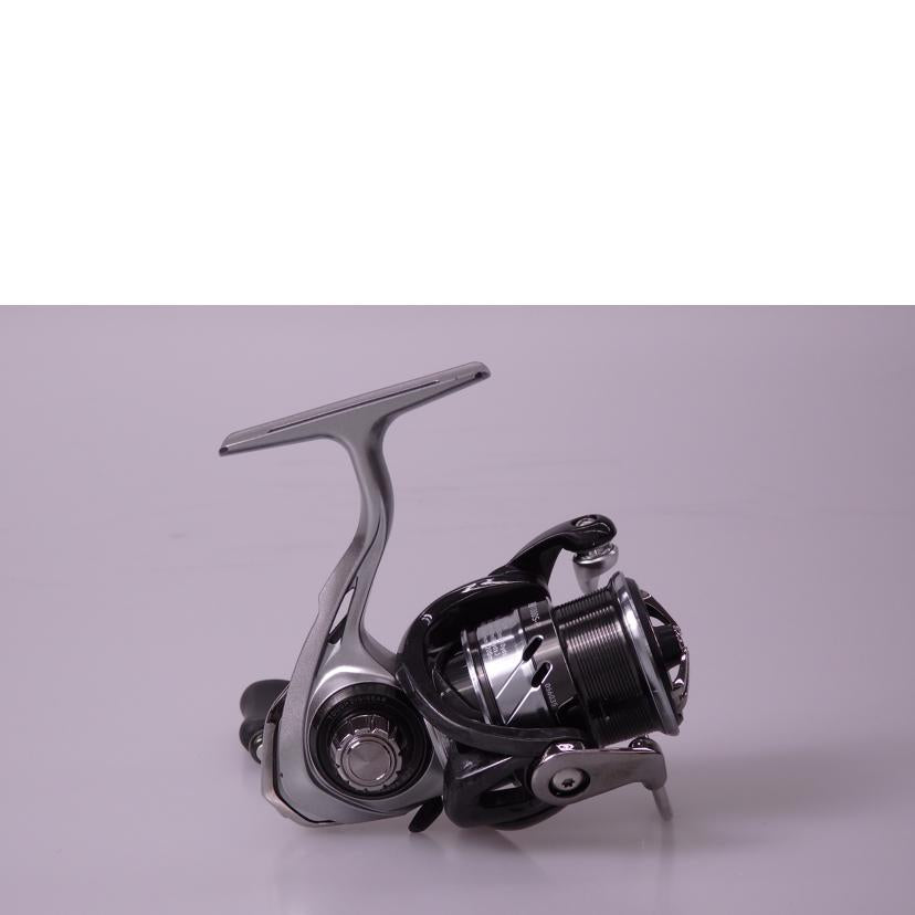 DAIWA ダイワ/CALDIA/LT1000S-P//Bランク/76