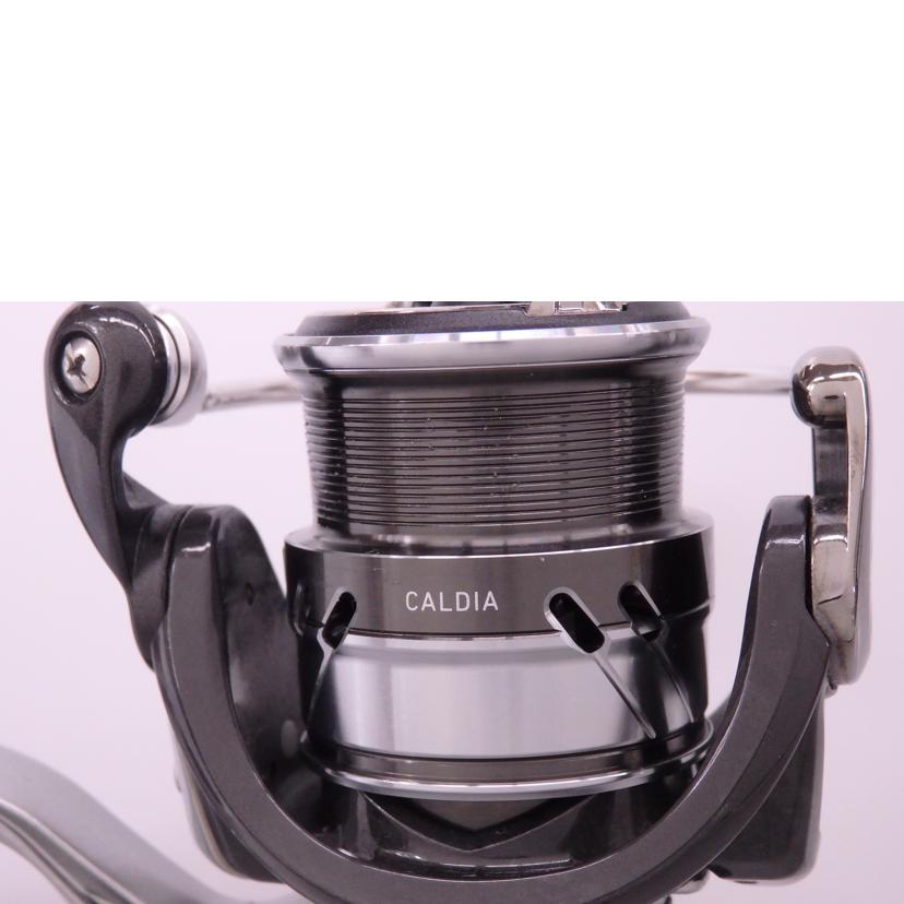DAIWA ダイワ/CALDIA/LT1000S-P//Bランク/76