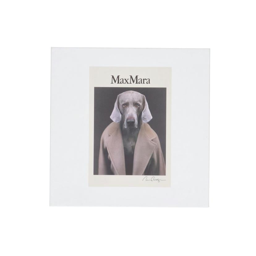 MAX　MARA マックスマーラ/コットンTシャツ／ドッグプリント/2421946071//SAランク/18