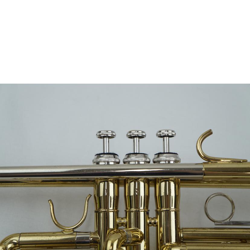 Heinrich ヘインリッチ/楽器｜WonderREX-ONLINE 公式通販サイト