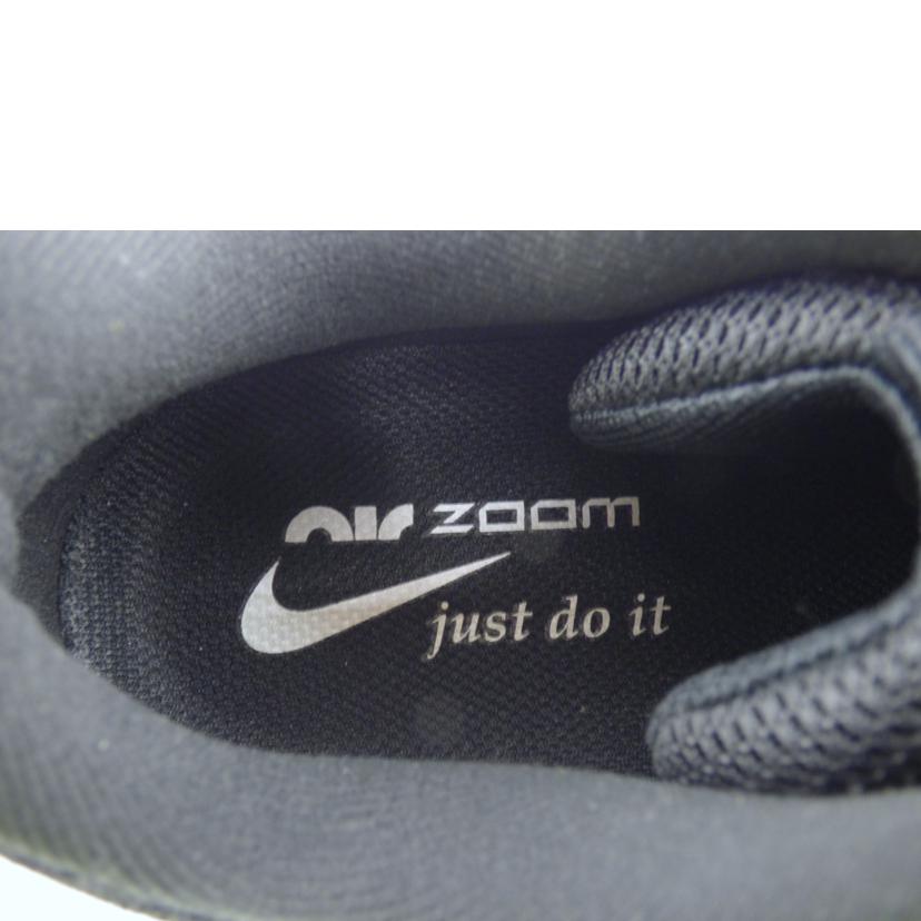 NIKE ﾅｲｷ/AIR　ZOOM　PEGASUS　40/DV3854-001//ABランク/64