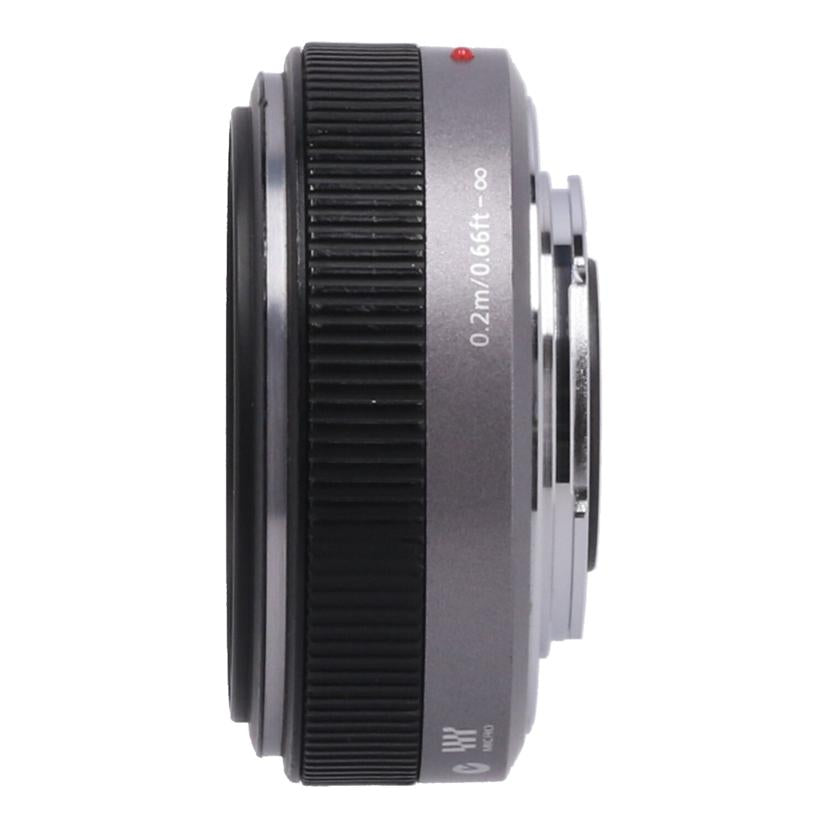 Panasonic パナソニック/単焦点レンズ/H-H020//BR0DD0185498/Bランク/69