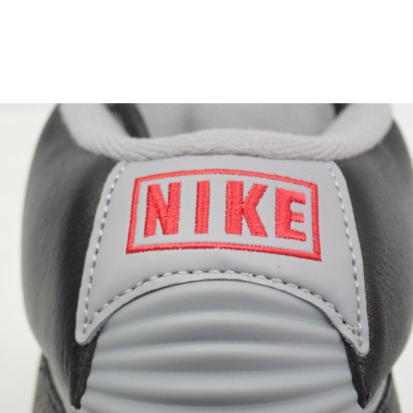 NIKE ナイキ/★ NIKE AIR JORDAN 2 RETRO/DR8884-001//30.0cm/Bランク/62