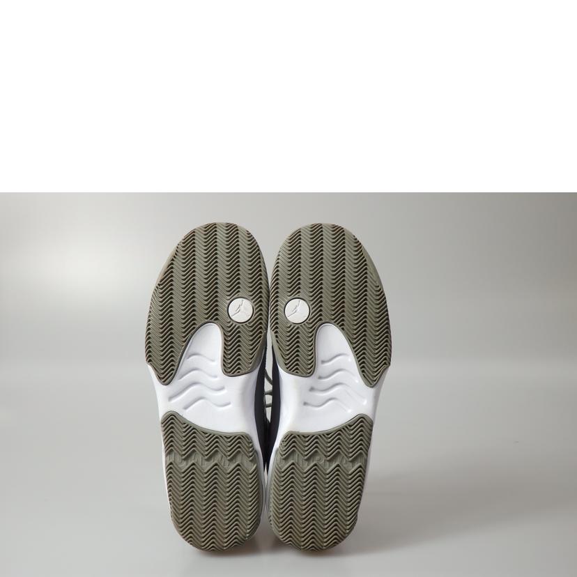 NIKE ナイキ/Air Jordan MAX Aura2/CK6636-012//ABランク/76