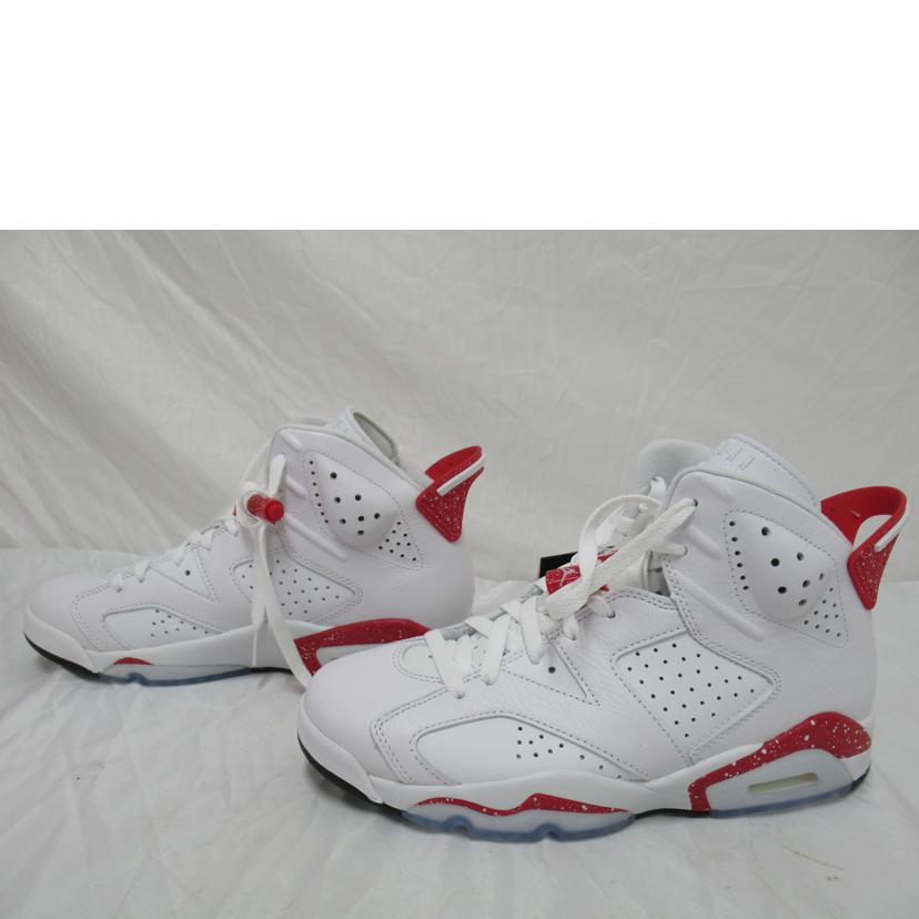 NIKE/AIR　JORDAN　6　RETRO/CT8529-162//Sランク/63