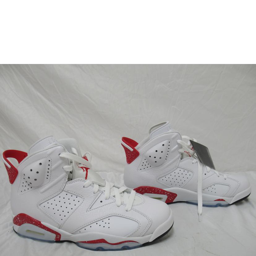 NIKE/AIR　JORDAN　6　RETRO/CT8529-162//Sランク/63