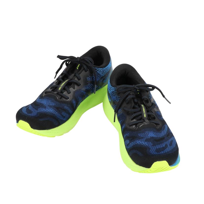 asics asics/GEL－NIMBUS　LITE　2/1011B009-401//ABランク/85