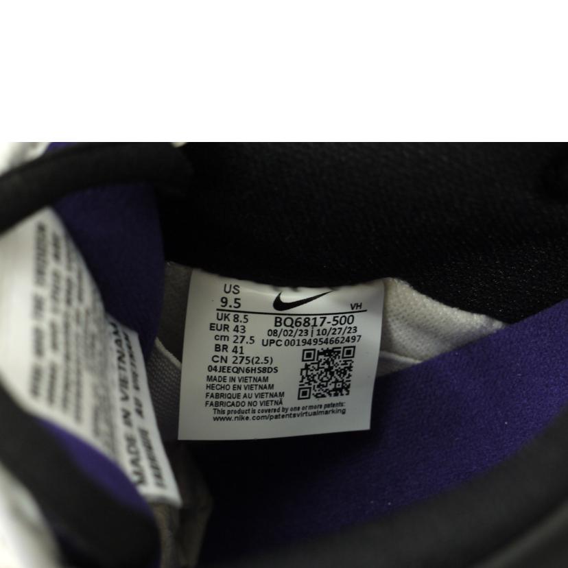 NIKE ナイキ/SB　ダンクLOW　PRO/BQ6817-500//Sランク/69