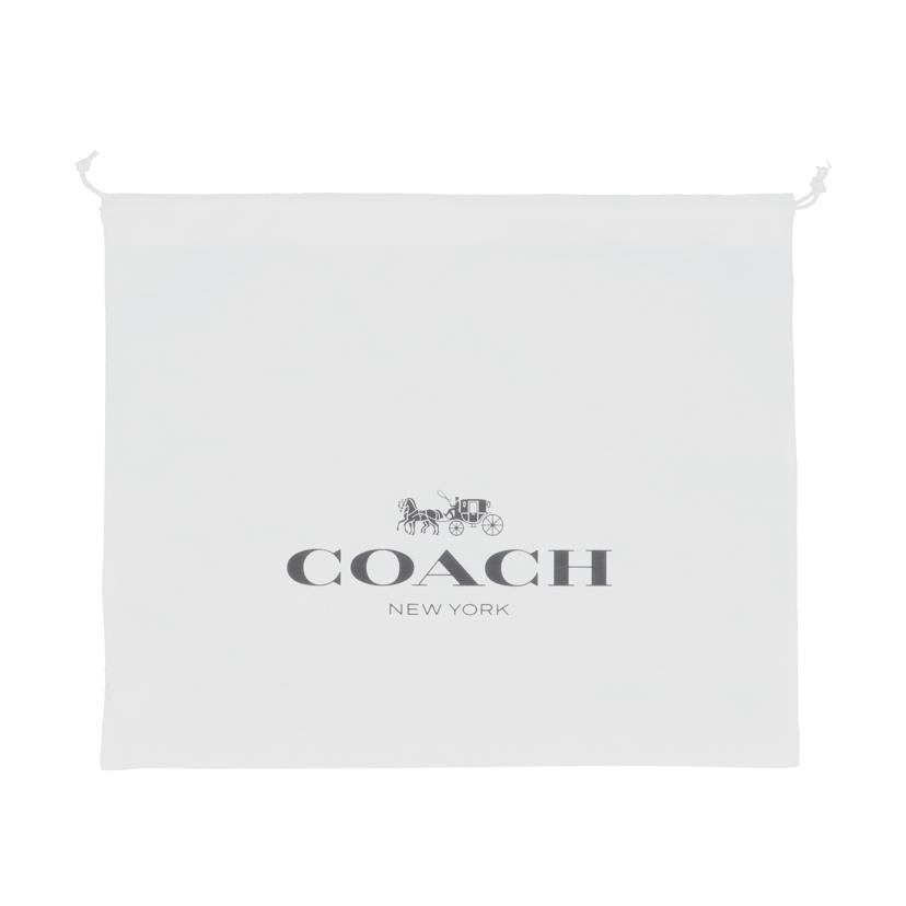 COACH コーチ/レザーメッセンジャーバッグ／ブラック/UC110//J24**/ABランク/18