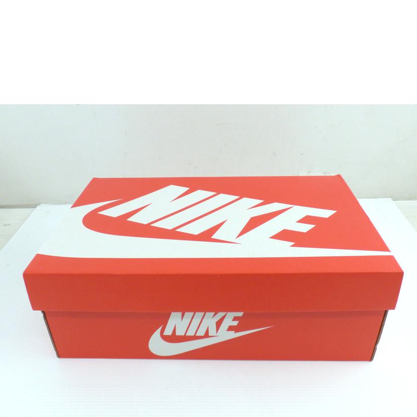 NIKE ﾅｲｷ/NIKE　DUNK　LOW　RETRO/DD1391-100//Aランク/64