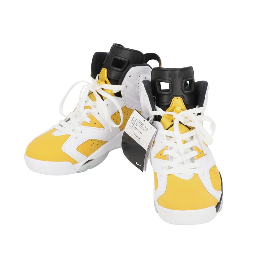 NIKE ナイキ/エアジョーダン6レトロ／スニーカー/CT8529-170//Aランク/18
